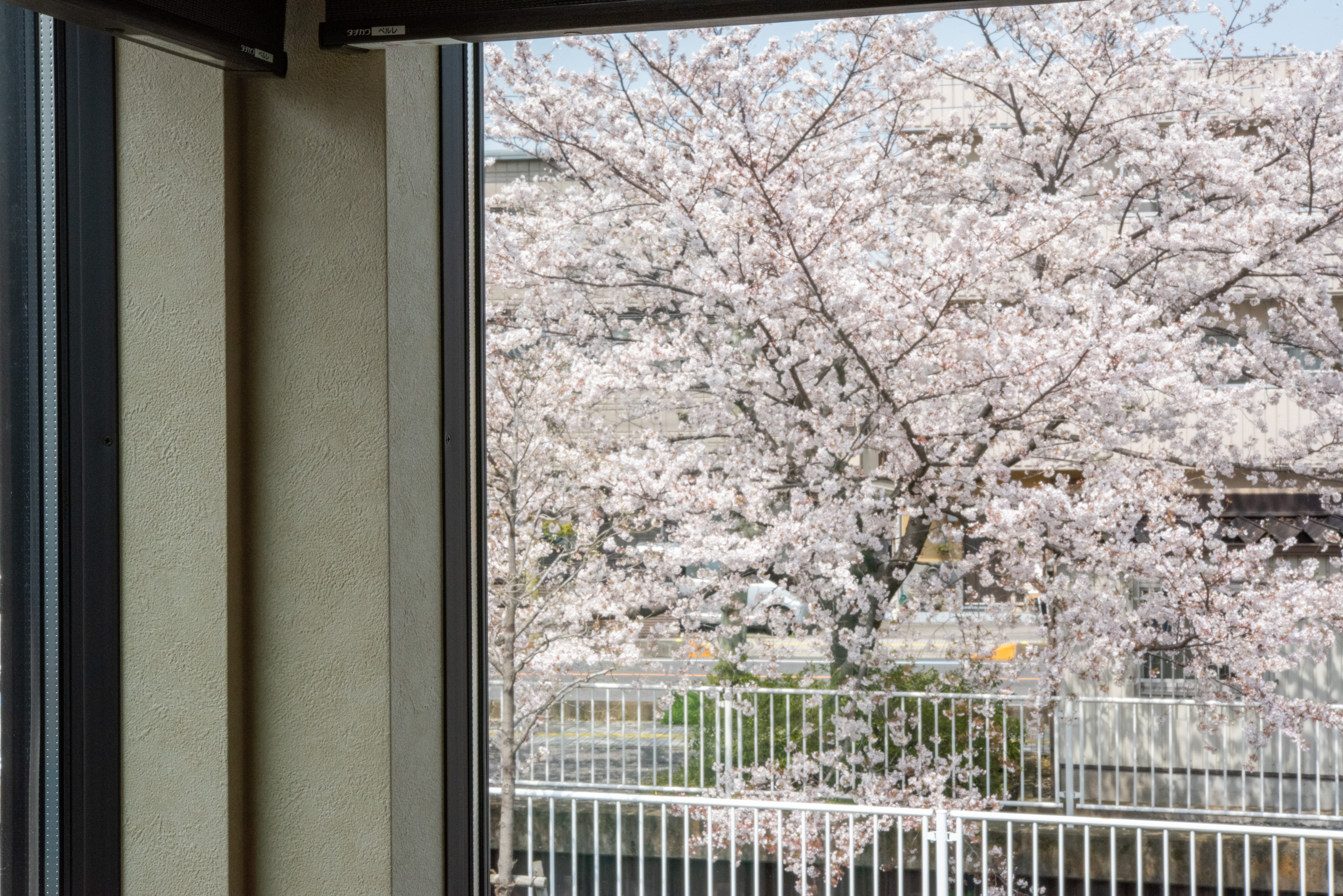 スキップフロアから見える桜が春の訪れを知らせてくれます。